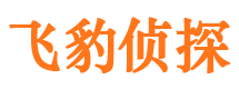 麻栗坡侦探公司